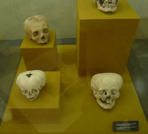 Vitrina del Museo Antropológico de MÉjico
