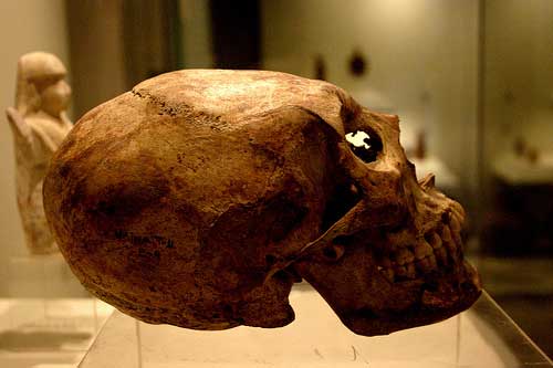 Cráneo Maya